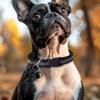 Pet GPS Tracker Collar Smart Locator for Pets Dog Cat GPS Tracker System Anti-Loss Pet Collar With Tracker Elder Finder