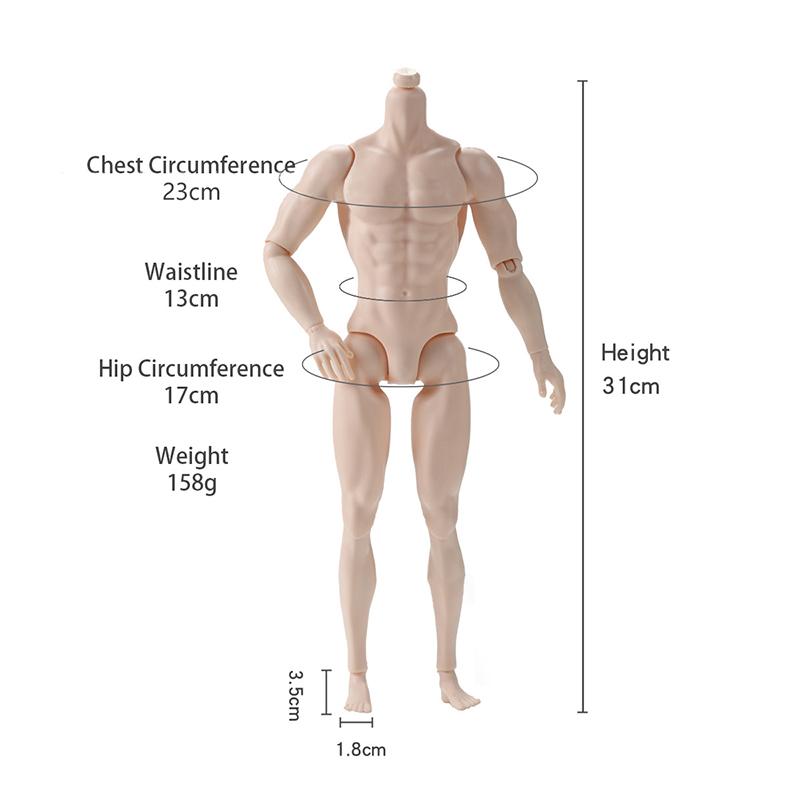1/6 Männliche Puppe 35cm Höhe Mann Puppe Weiße/Normale/Gebräunte Haut Starker Mann Bodybuilding Material Drei Hautfarben Verfügbar