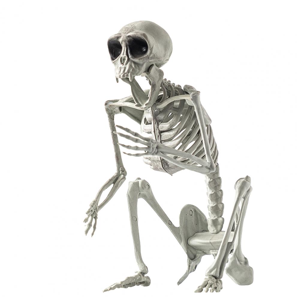 Long Lasting Halloween Prop Durable Plastic Skeleton Halloween Skeleton Decor for Courtyard Graveyard Cat Dog Bird Rat Goat Head