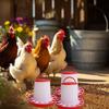 1KG Automatic Chicken Feeder Bucket Rooster Hen Feeding Farm Animal Device, Supplies Poultry Qu G2E3