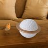 Moisture-Proof Pet Urn Removable Lid Pet Ash Holder Pet Hair Collection Box  for Cats Dogs Hamster