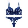 "Sexy Deep V Embroidered Lace Push-Up Lingerie Set for Enhanced Curves"