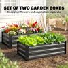 Raised garden bed, herb garden, weatherproof, open bottom, 100 x 60 x 30 cm, dark gray