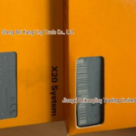 X20DC11A6 B&R Series - New, Genuine, In Stock with One-Year Warranty