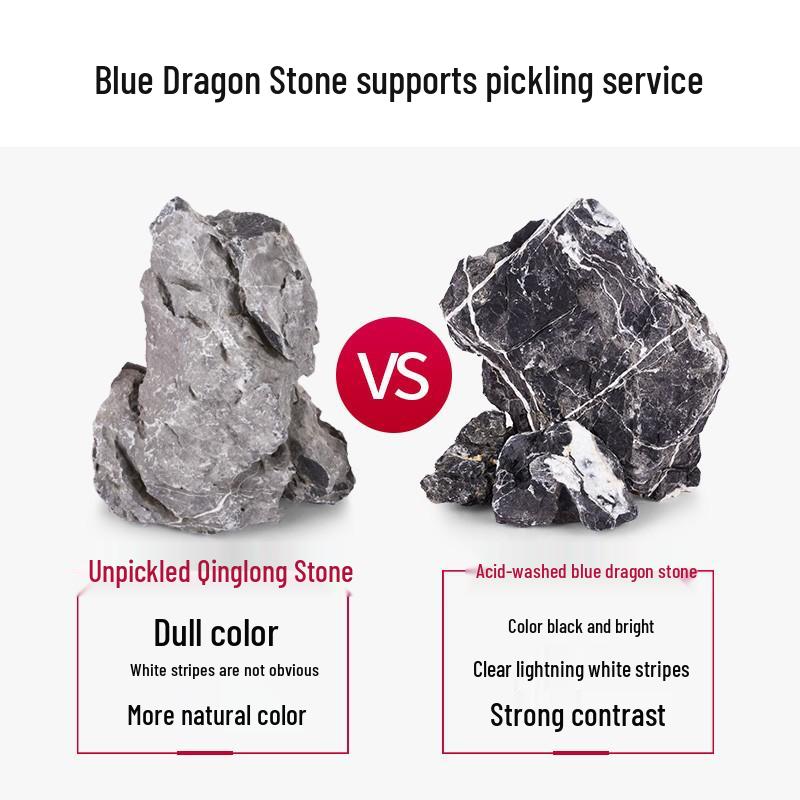 Azure Dragon Stone Aquarium and Terrarium Ornament - Micro Landscape Decoration for Fish Tanks and Bonsai.