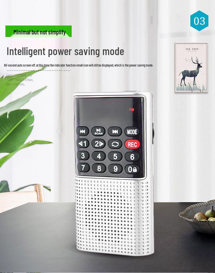 Happy Companion L-328 Mini Speaker & Recorder with Multifunctional Radio and Music Player