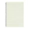 Creative Transparent Spiral Notebook - A6, A5, B5 Grid, Lined, Blank, Cornell Layouts