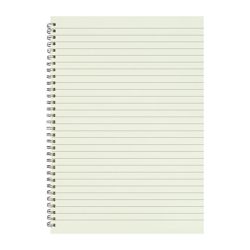 Creative Transparent Spiral Notebook - A6, A5, B5 Grid, Lined, Blank, Cornell Layouts