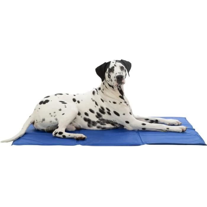 Matelas Rafraîchissant Pour Chien XL-XXL - Trixie - Protège Siège - Bleu