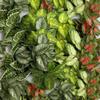 10pcs Hotel Decorative Plastic Simulation Apple Leaf Plant Restaurant Decoration Artificial 24 Leaves Alocasia Green Plants
