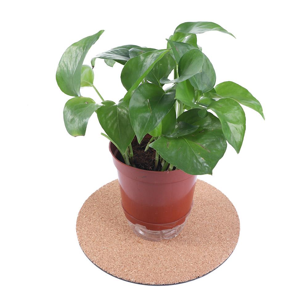 

Round Garden Supplies Pot Holder Drip Tray Planter Tray Placemat Plate Pad Cork Mat Flower Pot Tray 8Inch