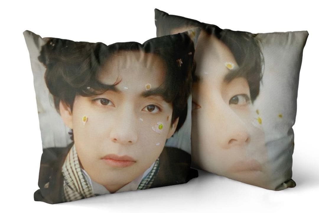 USED BTS Cushion Cover Beautiful Days Taehyung V V 4770₽
