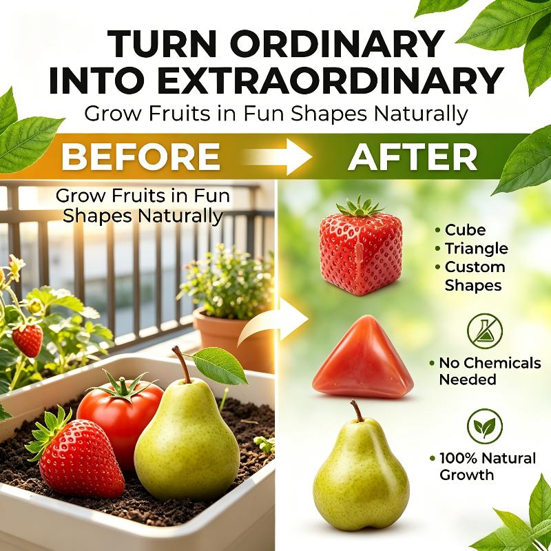 

Fruit Vegetable Shaping Turned Plastic Mold For Growing Unique, Reusable Transparent Garden Forming Box Set For Tomato чистый