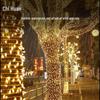 Chihuan Outdoor Waterproof LED String Lights, Warm White, Remote Control