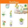 Rose Sunflower Eternal Flower Desktop Decoration Teacher's Day Bouquet Educational Assembly Building Blocks Toy