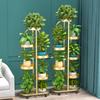 Multi-Tier Floor Plant Display Stand