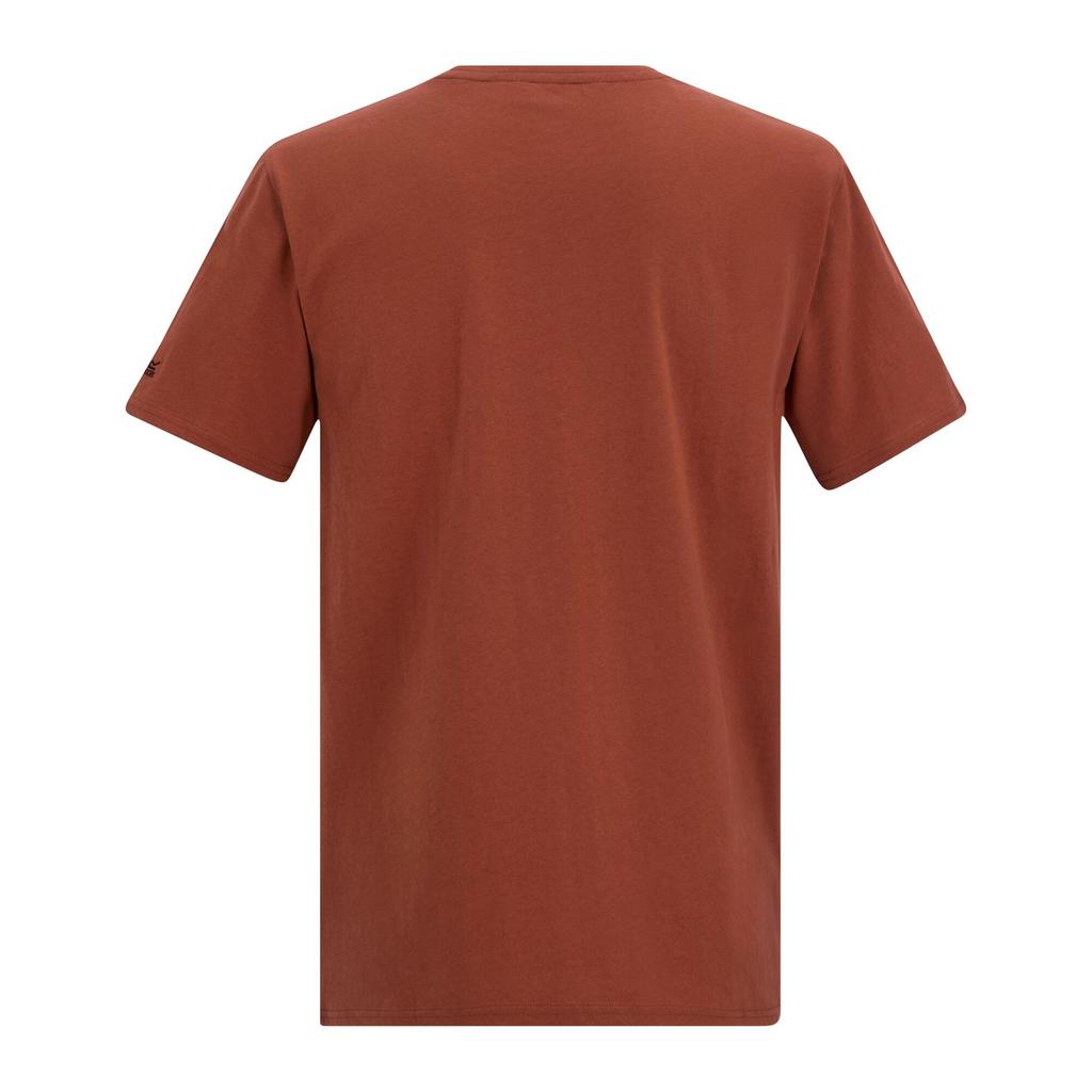 Regatta Mens Cline IX Mountain T-Shirt