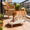 Elevated Pet Double Bowls For Cats & Dogs - -Spill, -Tip Plastic Food & Water Bowls With Neck Comfort Support