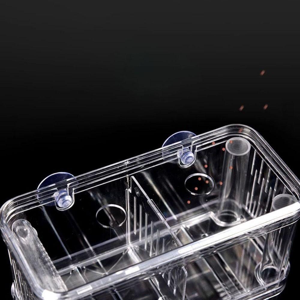 Acrylic Fish Breeding Isolation Box Double-Deck Fish Breeder Box  Fish Injured