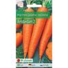 Edible Carrot Amsterdam 2 - Early 3G Basic Series Legutko