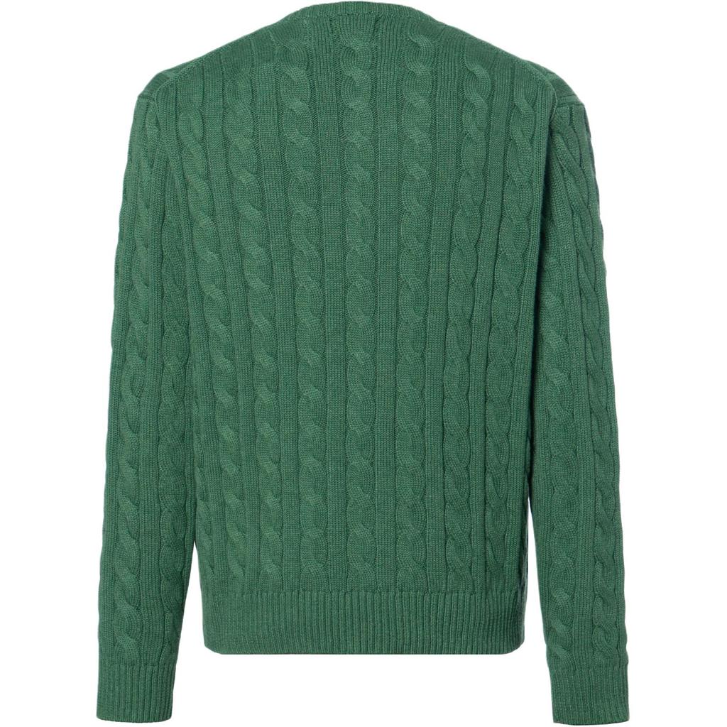 Polo Ralph Lauren Solid Color Crew Neck Long Sleeve Sweater Men Sweater Green 710918998-039