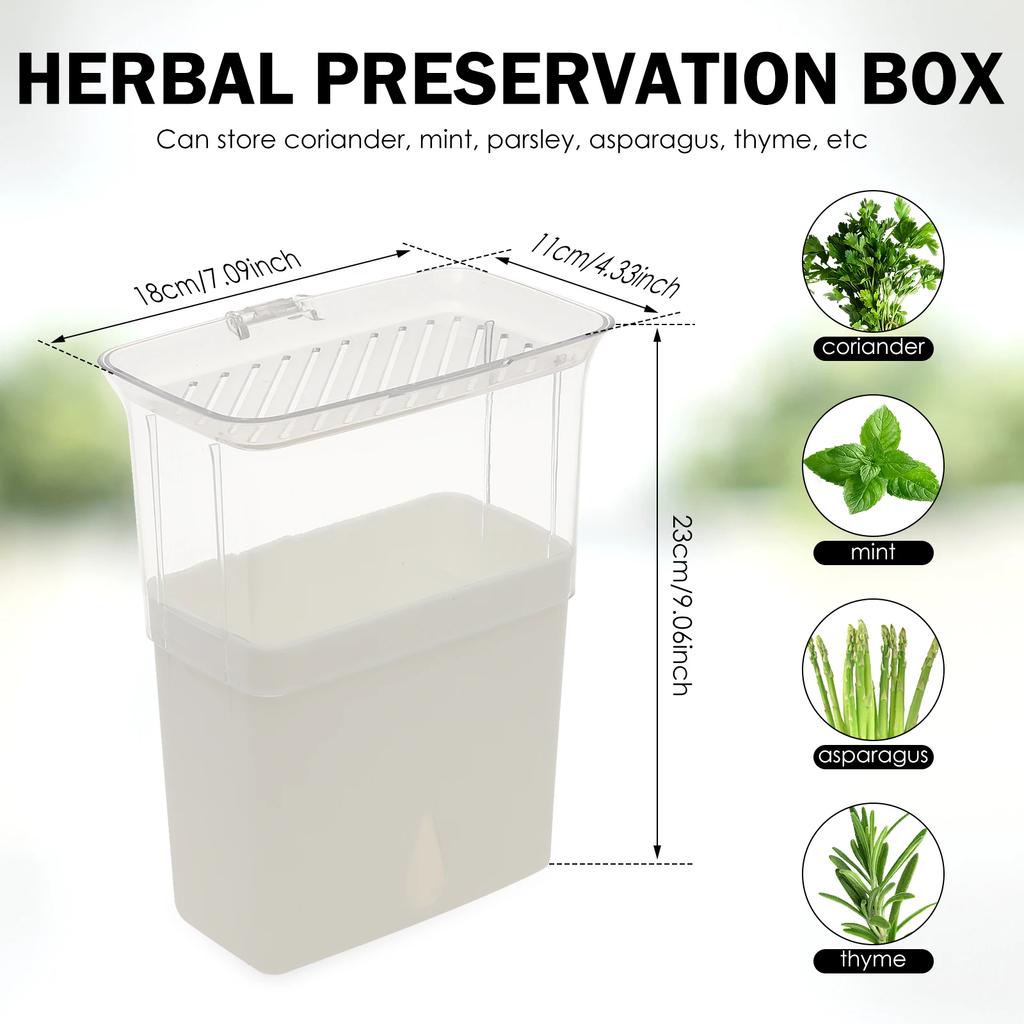 Clear Herb Saver Storage Container Airtight Fresh Herb Keeper for Refrigerator Vegetable Vanilla Bean Storage Box Herb Preserver