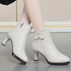 "Autumn/Winter Women's Stiletto Ankle Boots - Pointed Toe, Small Heel, Plus Velvet"