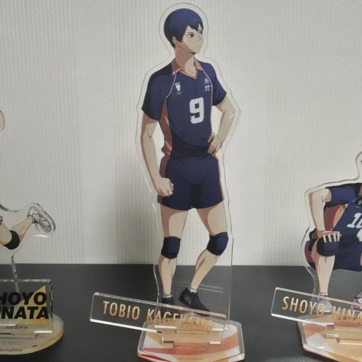 

Wongaiha Haikyu Acrylic Stand Kageyama
