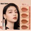 2.4g Lip Lacquer Waterproof Velvet Moisturizing Advanced Matte Long Lasting Non Stick Easily Colored