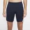 Nike Men's Academy Pro Training Shorts Blue CD1180-451