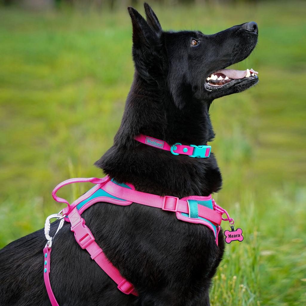 Splicing Colors Breathable For Medium No Pull Dog Harness for Large Small Dogs Adjustable Chest Strap Outdoor Dog Harness