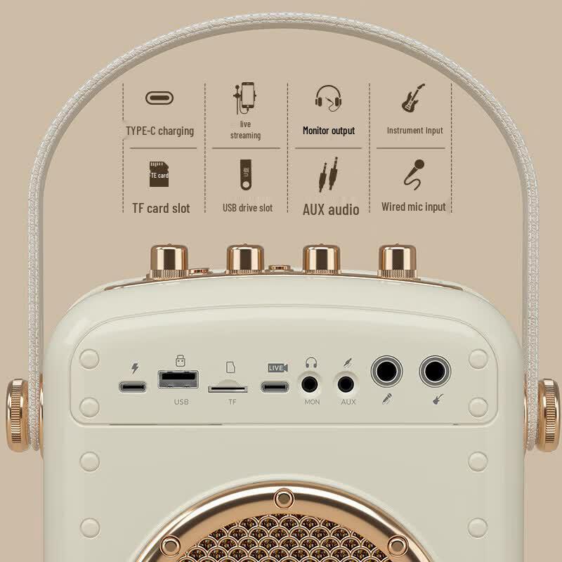 Newmine K513 Portable Karaoke Party Speaker with Dual Mics (CN Version)