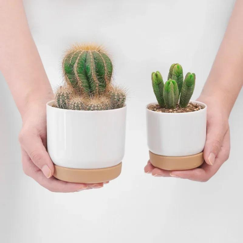Double Succulents Flower Pots Planter Creative Vase Green Plants Pot Vase Table Decoration Flower Pots For Garden Home Decor