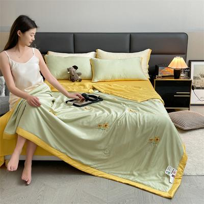 Ice Silk Summer Cool Quilt Air Conditioning Quilt for Children Spring and Autumn Thin Quilt Single Dormitory Core