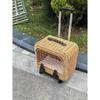Tragbare Katzentransportbox Stilvoller Haustier-Rollkoffer Große Kapazität Geflochtene Haustier-Reise-Atmungsaktive Trolley-Box für Katzen & Kleine Hunde
