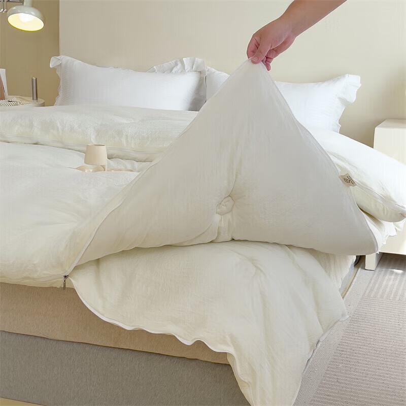 DZQ Thickened Warm 2-in-1 Winter Duvet