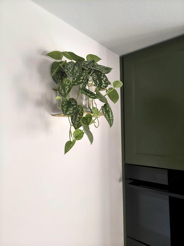 Gold Metal Wall Flower Stand, Flowerpot Holder, Modern Plant Hanger, Loft, Scandinavian
