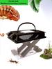 Insecte – Terarii pentru insecte