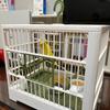 Large Space Breathable Portable Bird Cage Parrot Villa Cage Bird Walking Artifact Outdoor Take Out Ornamental Cage Small Bird