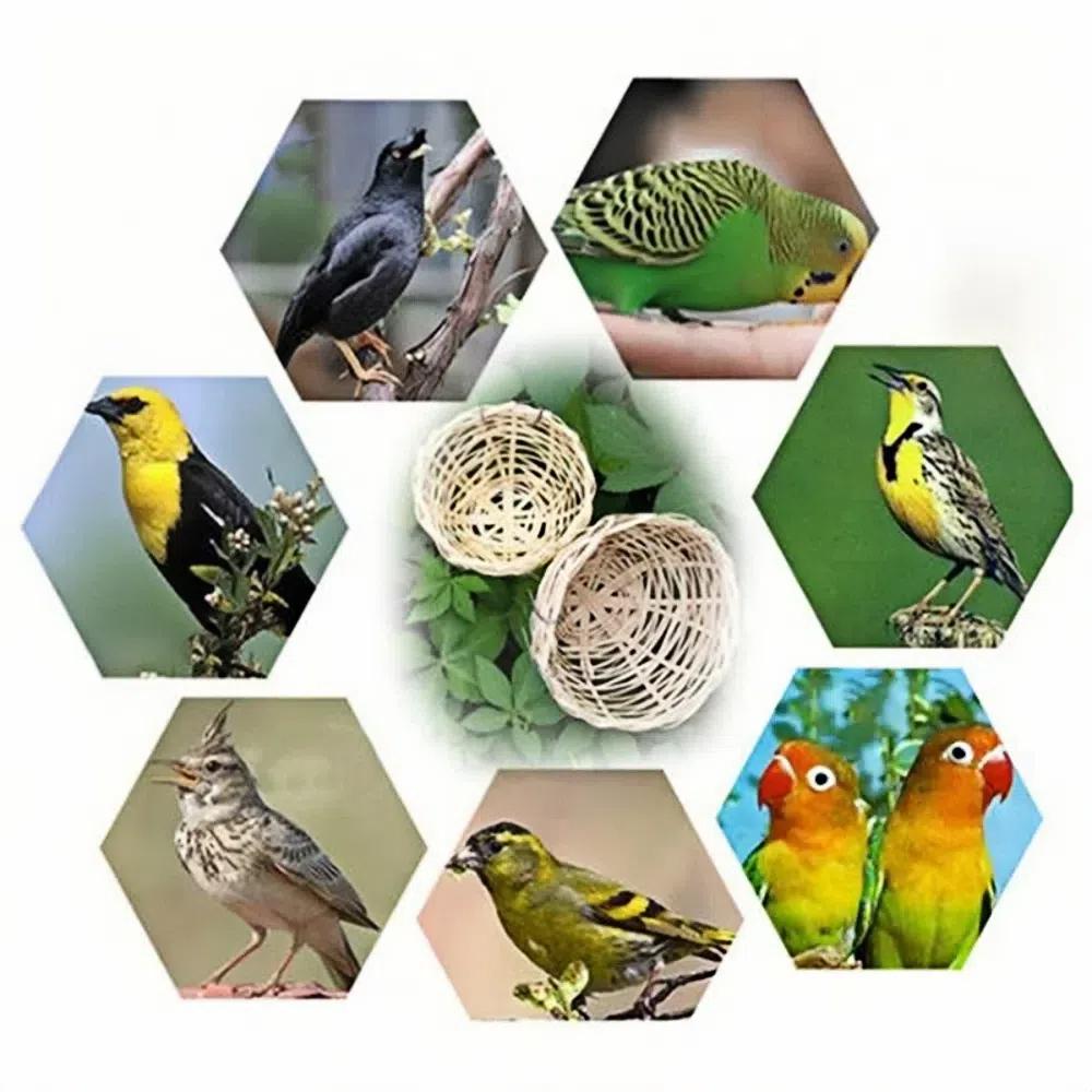 1/2/5Pcs Handmade Bird Rest Cave Cage 4inch Bamboo Breeding House Garden Home Decoration