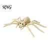 Reusable Halloween Skull Animal Skeleton, Realistic Fish Bird Spider Snake Cat Skeleton Model for Party, Haunted House, Graveyard Scene Decoration
