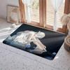 Anime Frieren: Beyond Journey's End Floor Mat Eco  Flannel Doormat Non Slip Odorless Indoor Floor Rug Soft Short Plush Home Mat