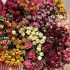 Small Dried Rose Buds for DIY Flower Arrangements and Home Decor