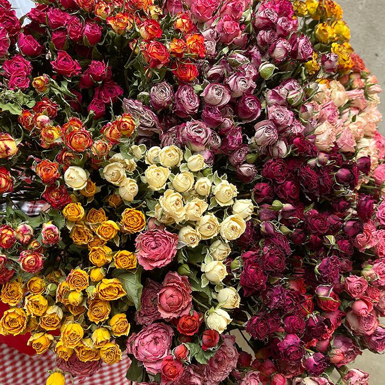 Small Dried Rose Buds for DIY Flower Arrangements and Home Decor