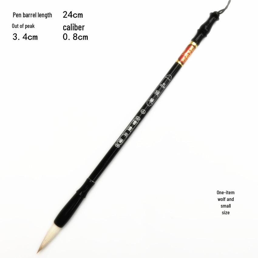 Student Calligraphy & Painting Brush Set – Mixed Hair with Water Writing Cloth