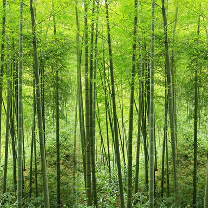 Green Bamboo Wallpaper Forest Natural Landscape Photo Mural Living Room Study Room Backdrop Home Decor 3d Wallpaper