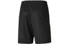 PUMA FUßBALL Soccer Bottom Unisex Black 657585-03