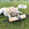 Dog Molar Toy with 2 Handles Tossing Teething Game Toy Reflective Pillow