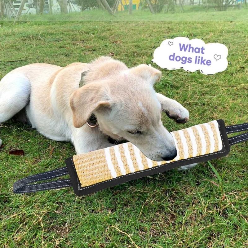 Dog Molar Toy with 2 Handles Tossing Teething Game Toy Reflective Pillow
