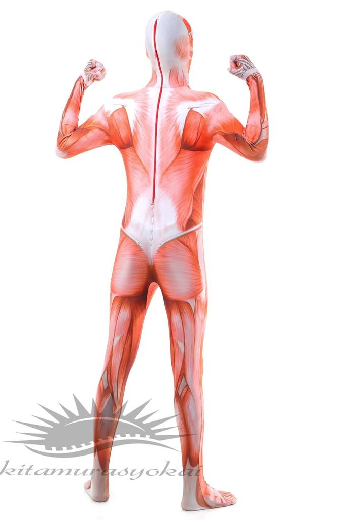 Attack On Titan Colossal Titan Full Body Zentai Cosplay Skin Tights Costume for Halloween (M)